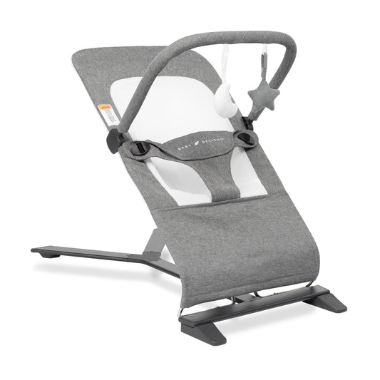 CALMY™ Deluxe Portable baby bouncer